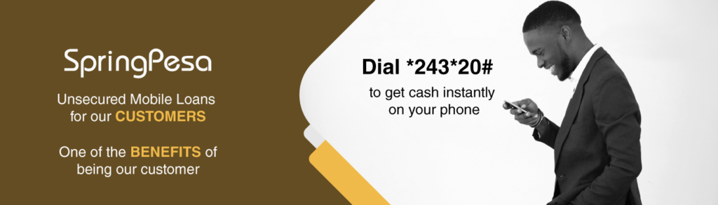 Spring Board Capital Loans Image