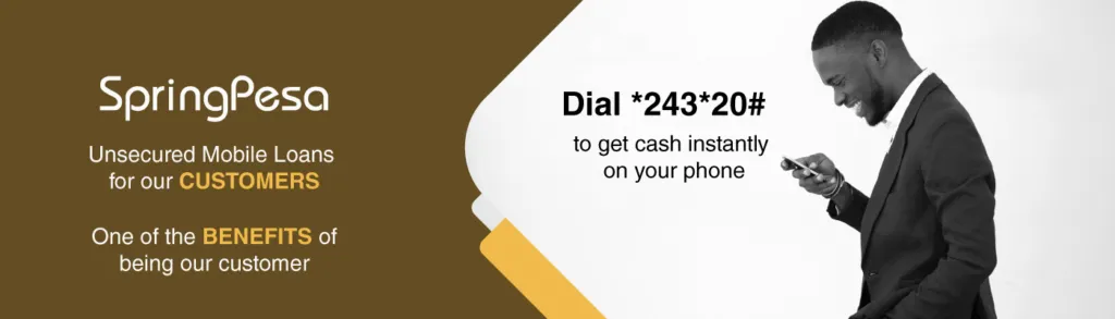 Spring Board Capital Loans Image